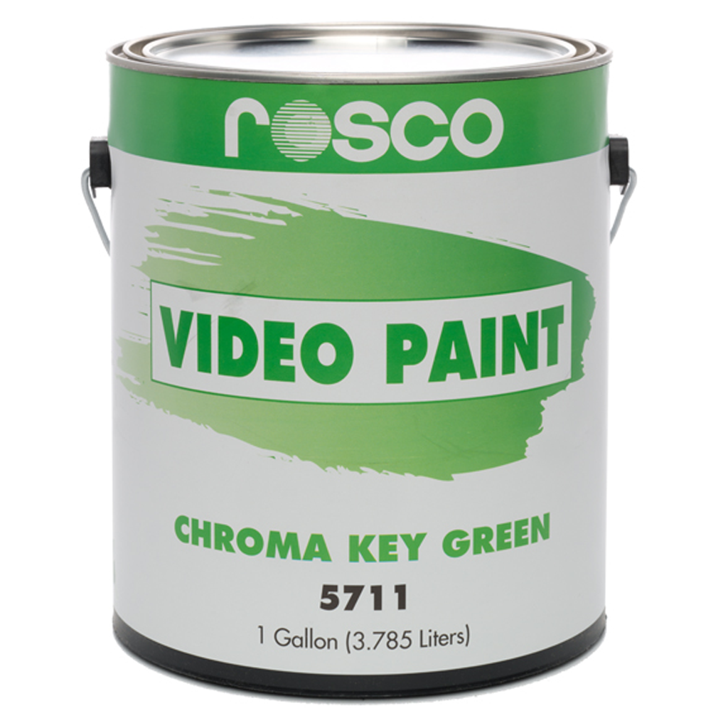 Video Paint