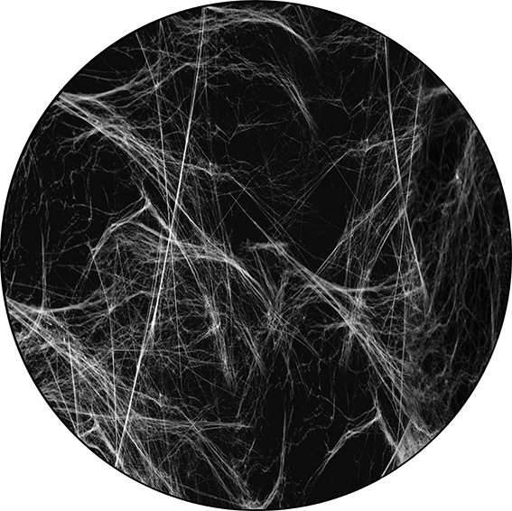 Realistic Whispy Web