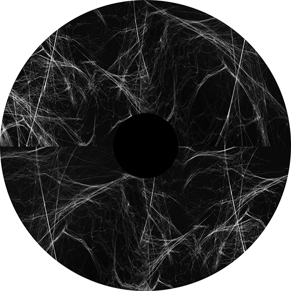 Realistic Whispy Web 2