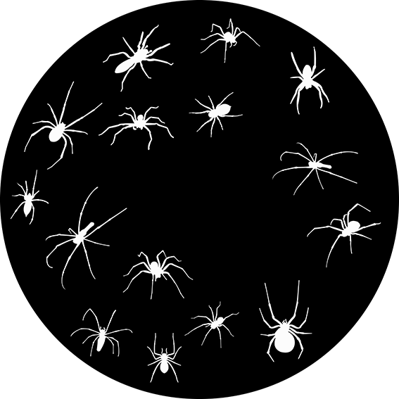 Crawling Spiders