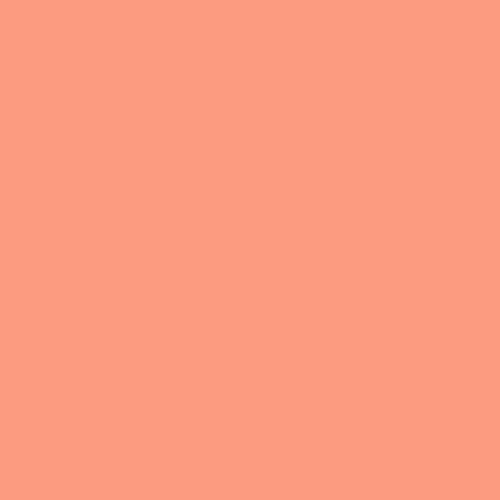 LEE - L008 Dark Salmon - Colour Gel