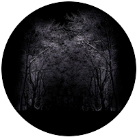 Winter Arbor