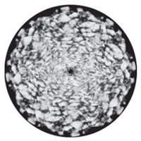 Cloud Cover 2 Animation Wheel