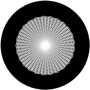 Sun Cosmos Crop Circle