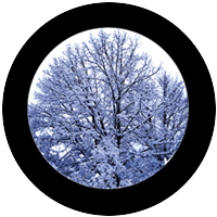 Winter Solstice