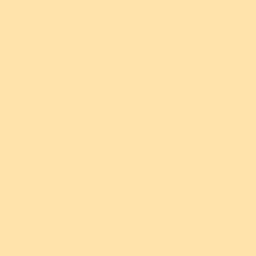 L808 Zircon Warm Amber 6