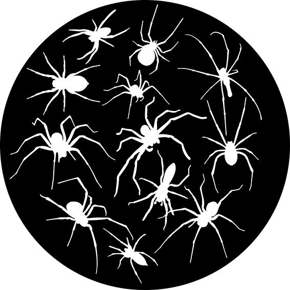 Crawling Spiders