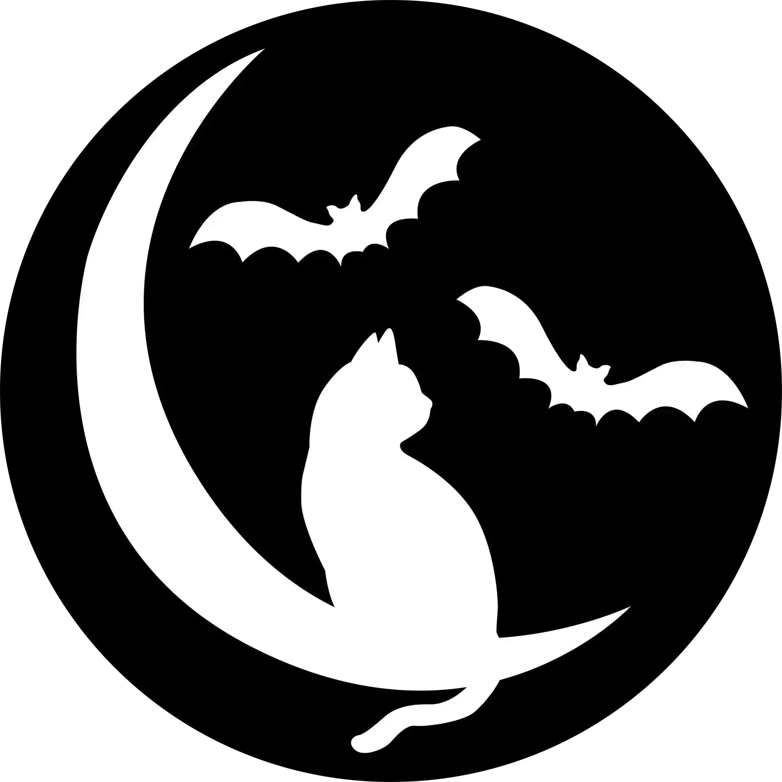 Cat and the Bat