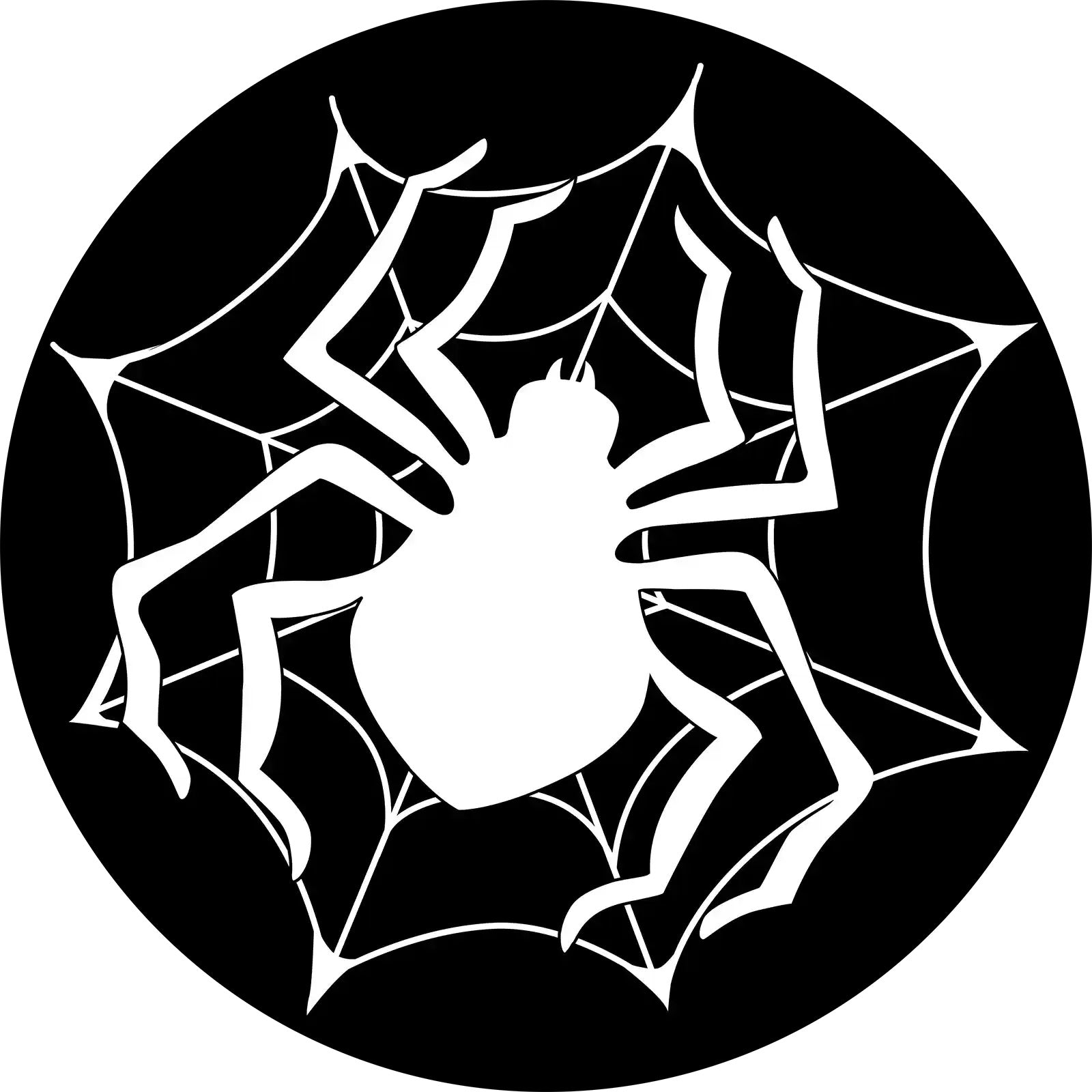 Spider in her Web