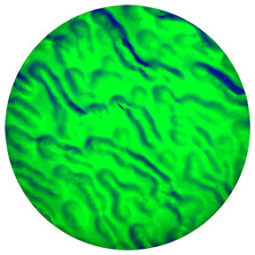 Green Dune
