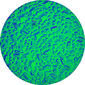 Green Sparkelite