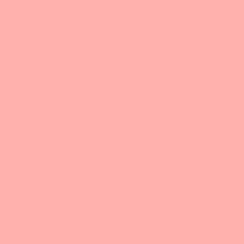 L109 Light Salmon