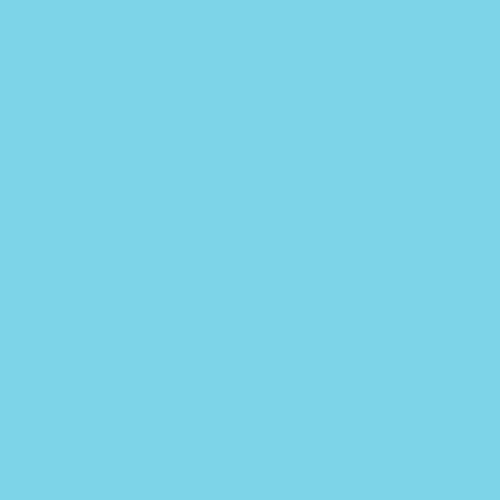 L196 True Blue