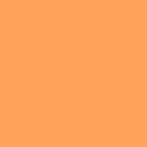 L287 Double C.T. Orange