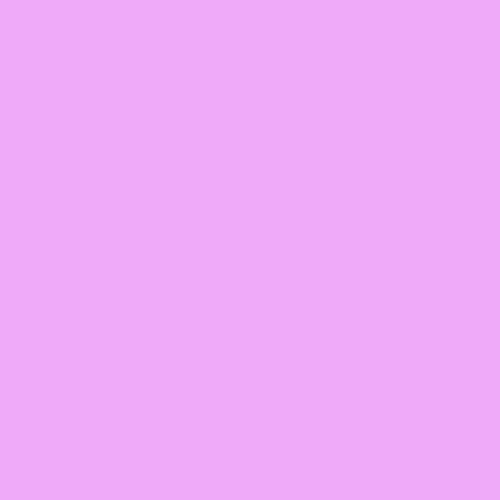 L704 Lily