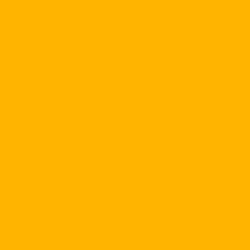 L770 Burnt Yellow