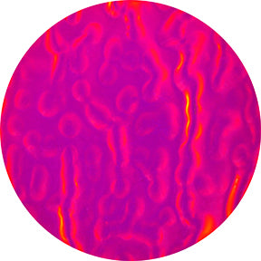 Magenta Dune