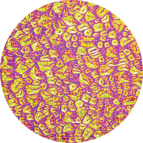 Magenta Sparkelite