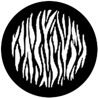 Ripple (Small)