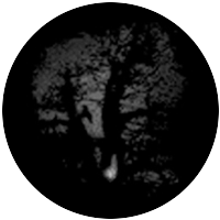 Meshed Oak