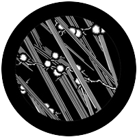 Bamboo Flower