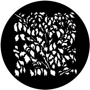 Leaf Breakup SQ