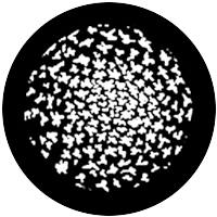 Swirling Leaves