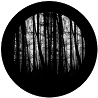Blair Woods