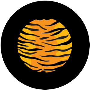 Multi Color Tiger Print