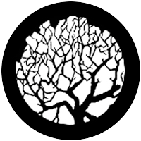 Winter Tree 1