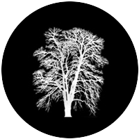 Barren Inverted