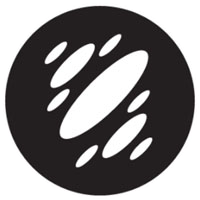 Flying Discs