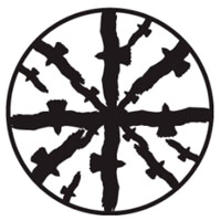 Circling Birds A