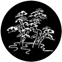 Bonsai
