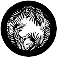 Jungle Vignette