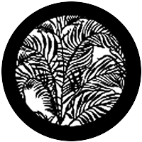 Tropical Leaves