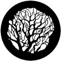Tree 2