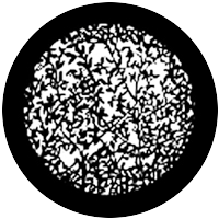 Spring Leaves