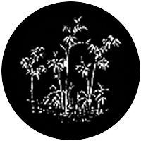 Bamboo