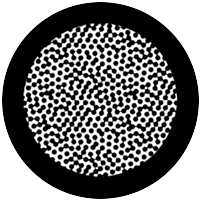 Connect Dots