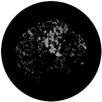 Meshed Saplings