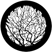 Winter Tree 2