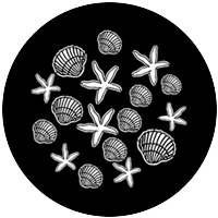 Shell Breakup