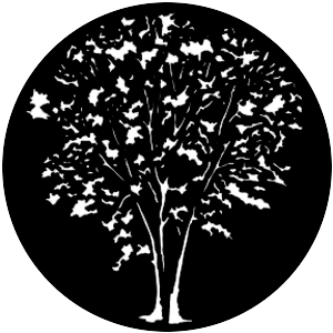 Grove B