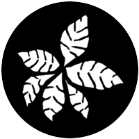 Fronds