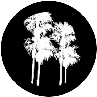 Double Palm