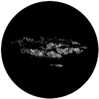 Cirro-Stratus 1