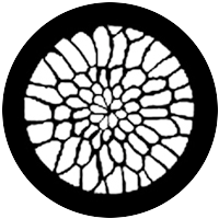 Soft Web