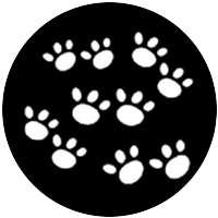 Paws