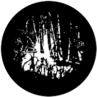 Swamp